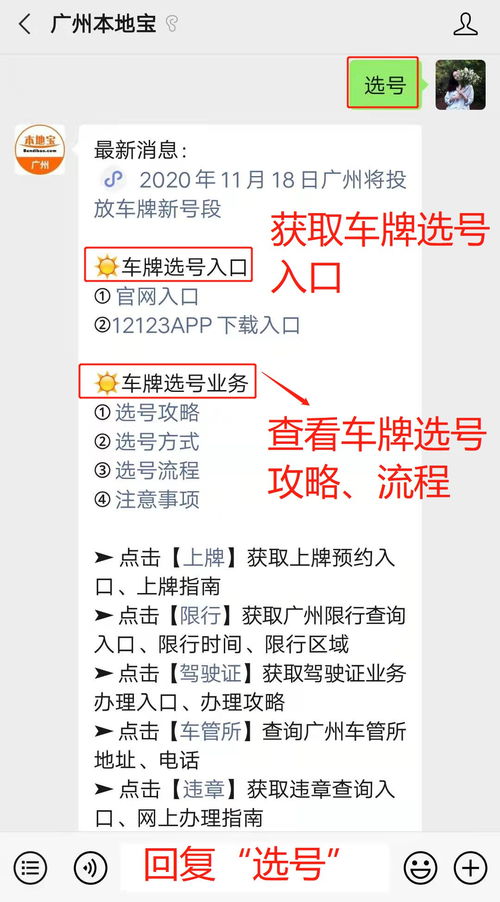 广州货车选号攻略指南，最新选号方法与技巧