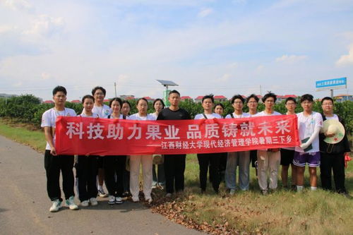 梁野县新闻聚焦乡村振兴，共绘发展新篇章