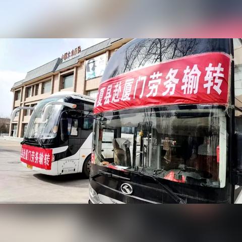厦门今日直通车最新资讯速递