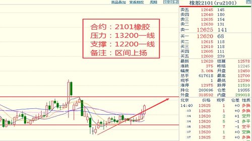 巴西牛肉今日报价及市场行情价格趋势解析