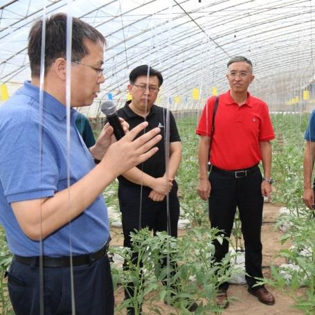 陕西蔬菜供应链公司TOP排行榜