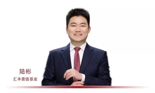 今日基金行情最新动态速递