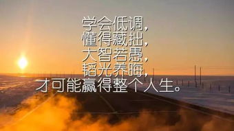 励志语录书袋图，照亮知识前行路