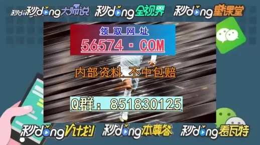2024年一肖一码一中一特｜探索与解析