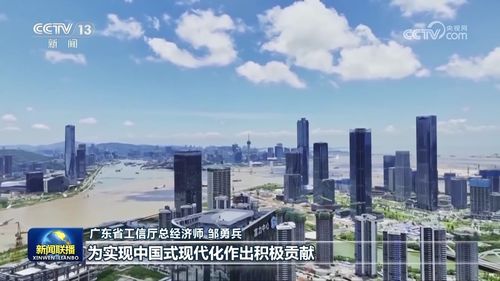 深圳港区新闻，创新引领港城融合新未来