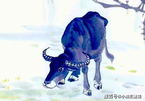 成功案例 第3页