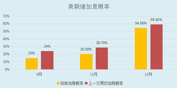 张楼今日油价最新查询，实时更新！