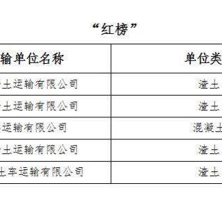 扬州新闻头条红黑榜，透视城市新风貌，共绘美好蓝图