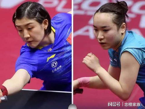 全球女兵大数据排名，揭秘乒乓球领域的巾帼英姿