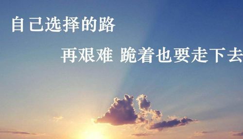 考研路上的灯塔，励志语录激励前行