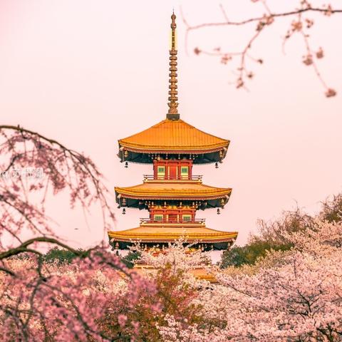 武汉至日本，超全旅游攻略，畅游东瀛必备！
