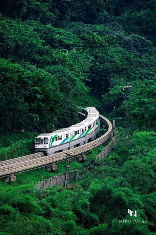 重庆自驾之旅，探索山城魅力的绝佳攻略