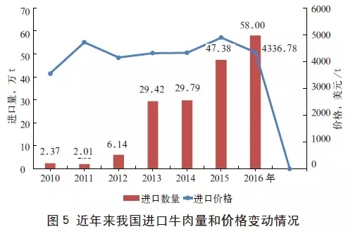 中国牛肉出口新动态，市场趋势深度解析与未来展望