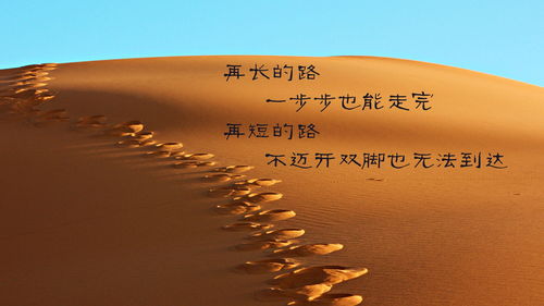 北大王教授励志语录，追梦路上的灵感与奋斗源泉