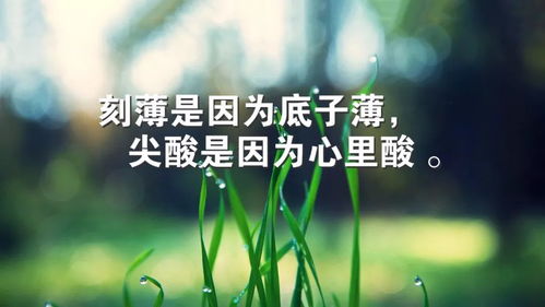 花草生长的力量，励志语录与人生启示