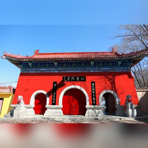 屈尊就卑 第5页