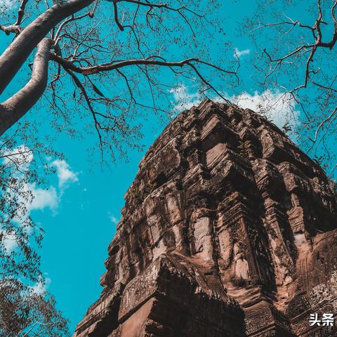 仙风道骨 第4页