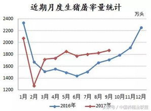 今日猪价更新，市场走势深度解析