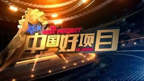中国人保全球舞台卓越表现及排名深度解析