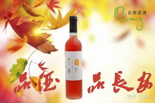 天潢贵胄 第4页
