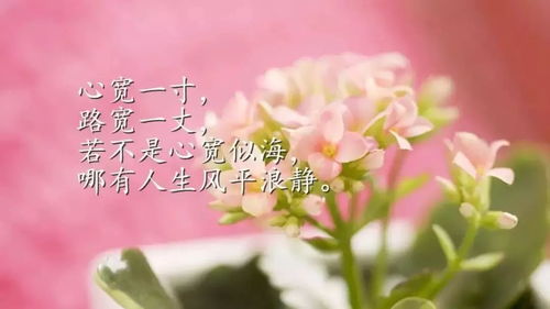 幽默励志短句，瞬间点亮生活色彩！