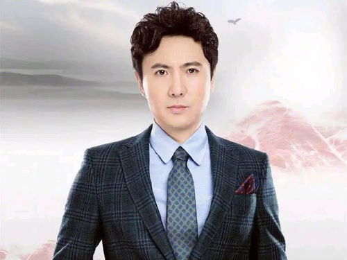 欢子公司行业地位大揭秘，卓越排名引领潮流