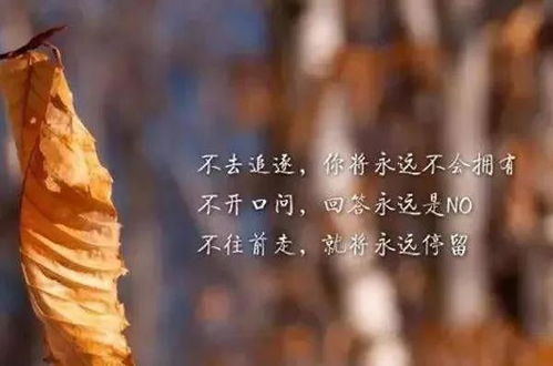 白驹励志语录，追梦不止，勇往直前