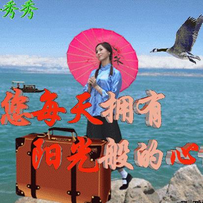 励志语录揭秘，逆风飞翔的翅膀背后的挫折与挑战故事