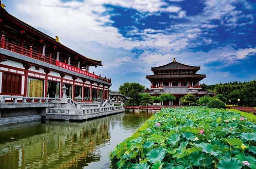 灞桥旅游攻略揭秘，古都隐秘瑰宝的探秘之旅