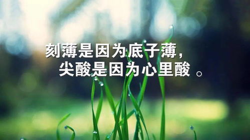 正能量爱情励志语录短句，唤醒内心的力量，激发无限潜能与爱情魅力
