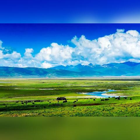 青海惠民旅游攻略，高原探美之旅，独家体验独特文化