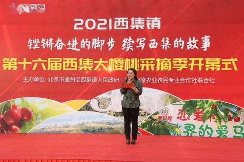 大荔新闻与西安攻略，最新综合报道速递
