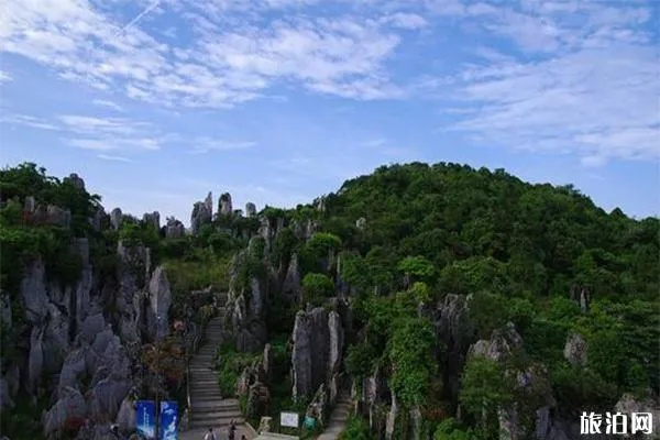 华蓥山旅游攻略，美食与自然的双重盛宴