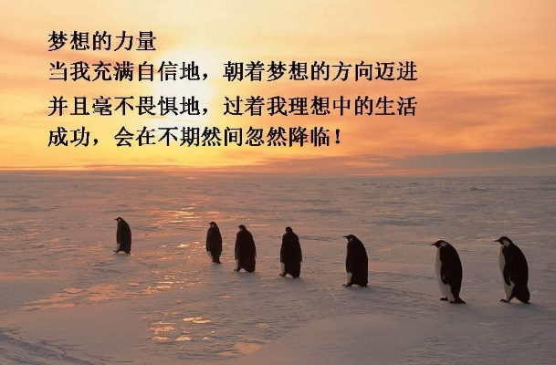 案场励志语录，温暖奋斗瞬间，激励前行之路