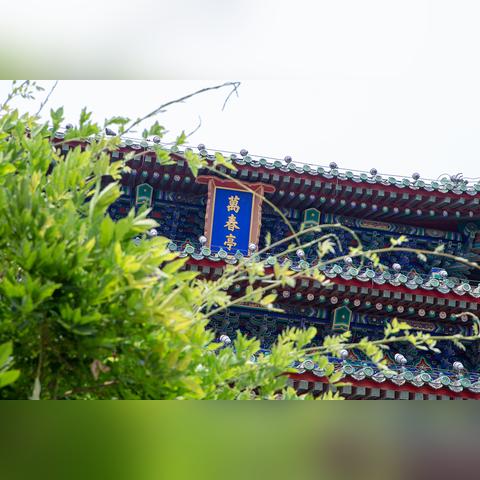 俯瞰故宫，完美攻略带你畅游旅游胜地