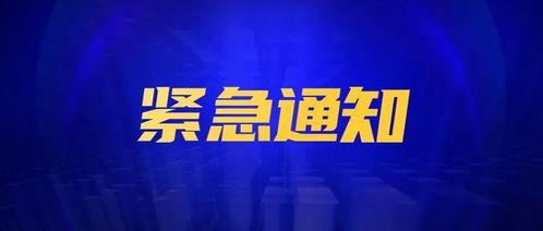 泰安最新头条新闻速递