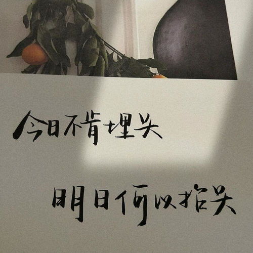 励志语录与文案短句的魅力，配音背后的故事力量