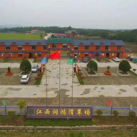 春游专线攻略揭秘，踏春足迹，尽享美好旅程！