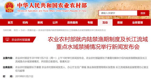 奉江最新新闻综述，今日时事消息全掌握