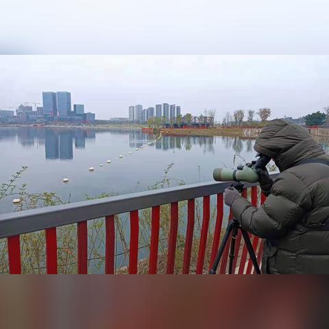 锦江河绝美之旅攻略，探秘河流之美，尽享独特风情体验！