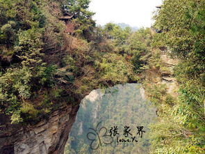 崇山岭探险秘籍，必玩景点、美食、住宿一网打尽！