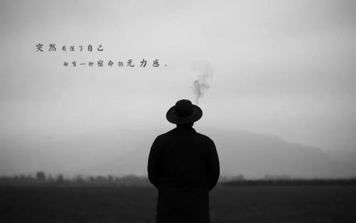 励志语录来袭！四十岁人生的勇气与智慧，追寻梦想的励志短句