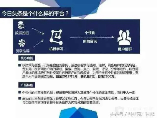 半截鸟木 第4页