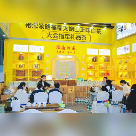 白茶语录励志英文短句，茶韵人生，智慧交融探寻之路