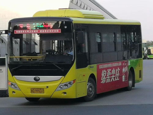 仙风道骨 第3页