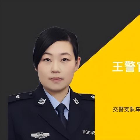 东北驾校排名TOP10权威解读与深度分析