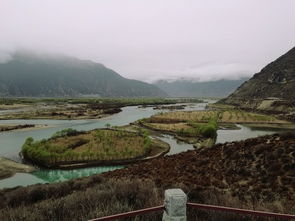 揭秘六月林芝仙境旅游攻略，漫步桃花源，沉醉绝美风光