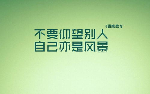 打破恶意语录，励志文案照亮生活希望之光