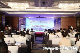广州晓港新闻聚焦，城市脉搏的新焦点动态速递