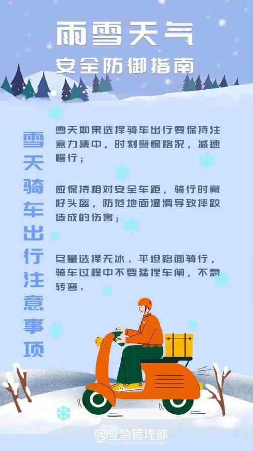 淄博暴雪来袭！城市如何应对天气挑战的最新消息揭秘